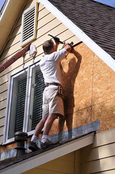 Best Moving and Downsizing Cleanouts  in Stockton, IL
