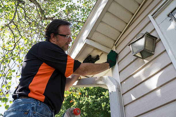 Professional Junk Removal in Stockton, IL